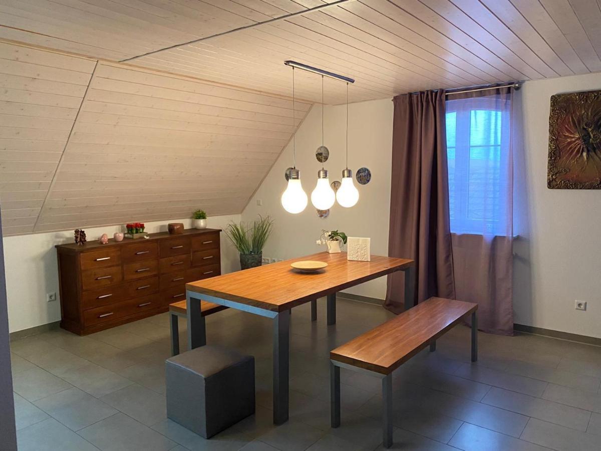 Ferienwohnung Sinsheim Zewnętrze zdjęcie