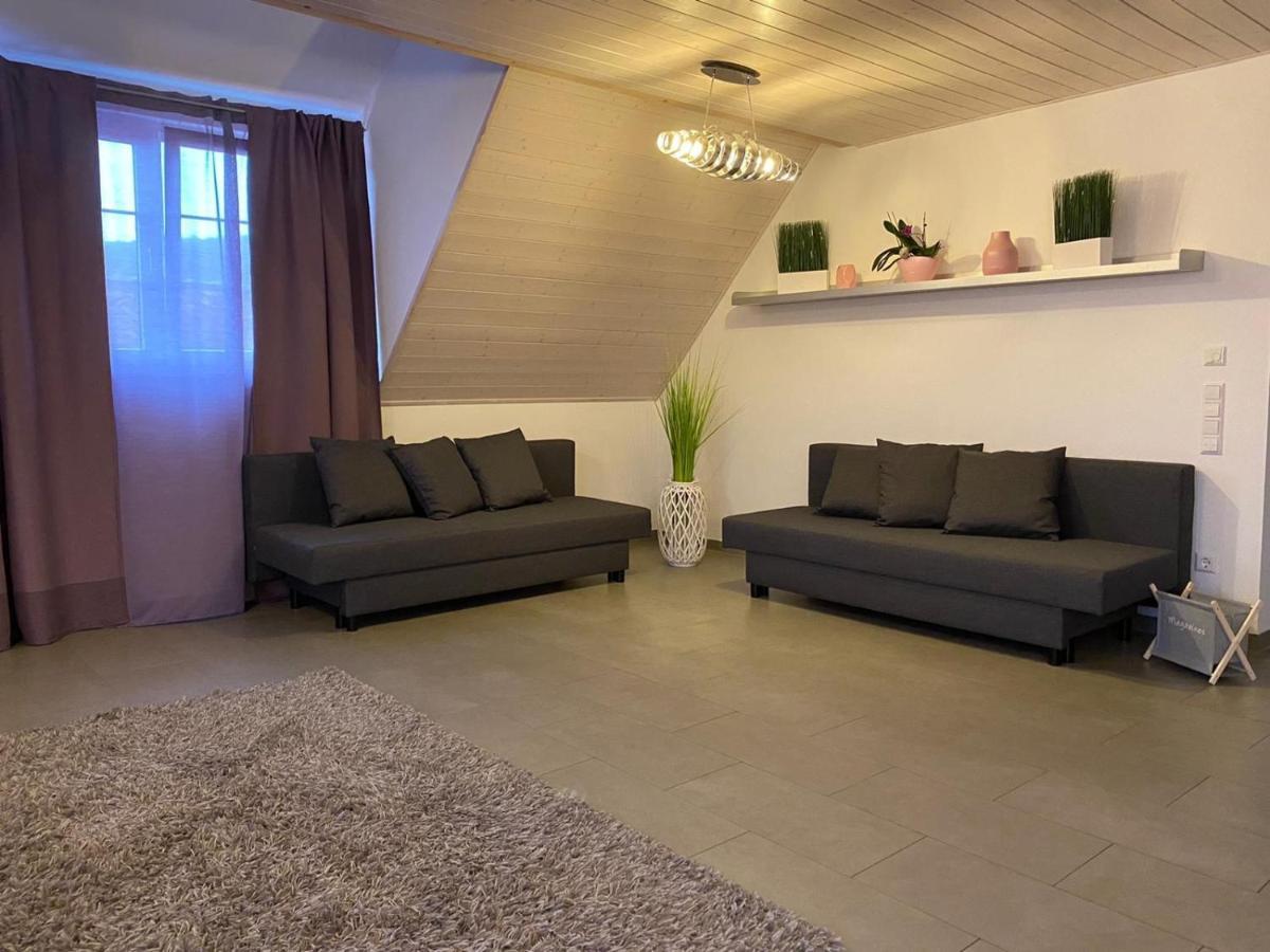 Ferienwohnung Sinsheim Zewnętrze zdjęcie