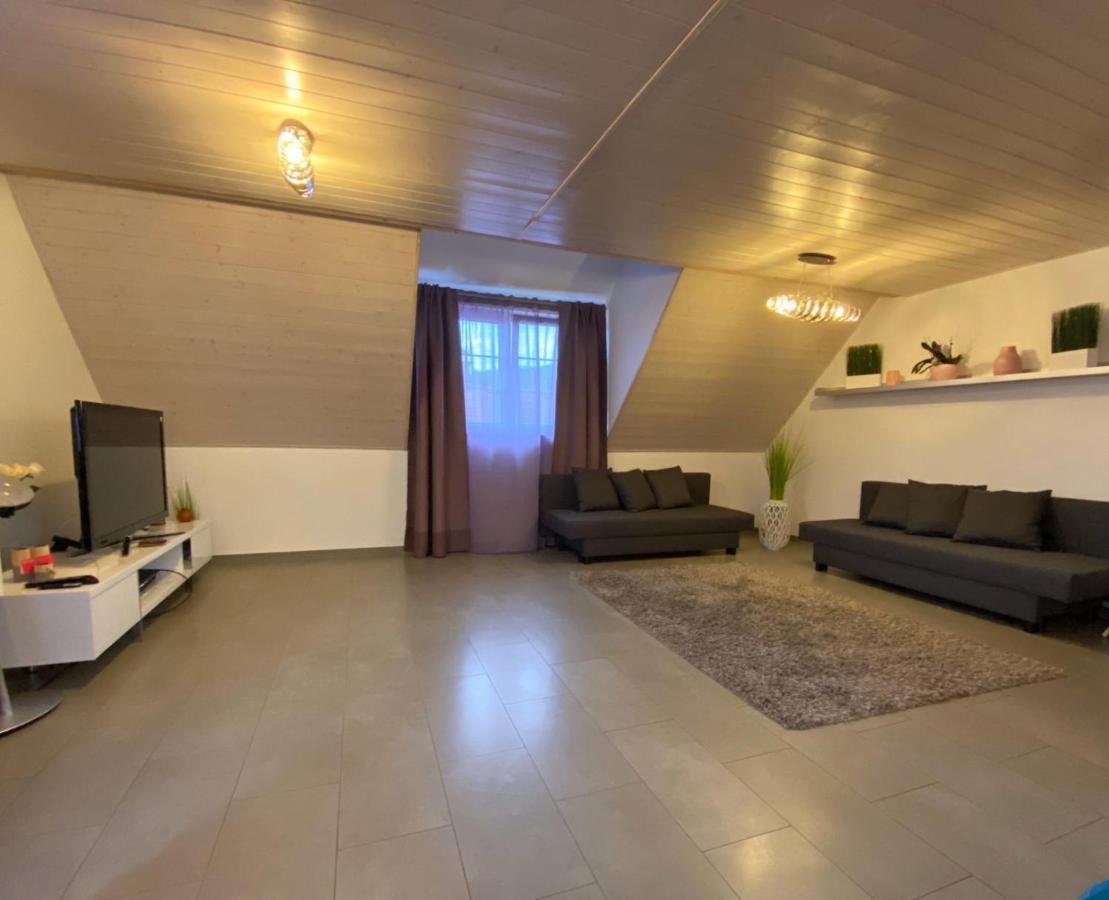 Ferienwohnung Sinsheim Zewnętrze zdjęcie
